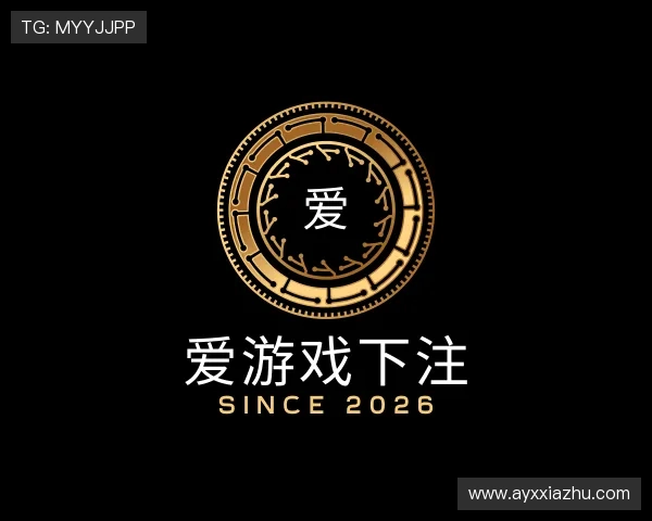 关于爱游戏下注